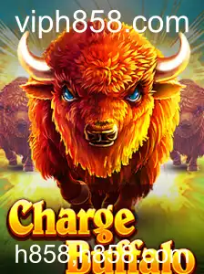 Desvendando o fascinante mundo de ChargeBuffalo