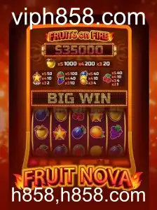 Explorando o Universo de FruitNova: Um Guia Completo para Novos Jogadores