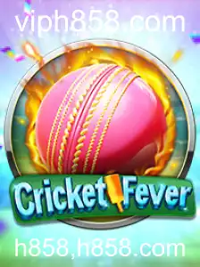Tudo sobre CricketFever: Descrição, Regras e Novidades
