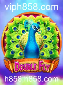 DoubleFly: Um Novo Desafio no Mundo dos Jogos
