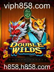 Tudo sobre o jogo DoubleWilds