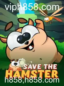 Explorando o Mundo de SavetheHamster: Um Jogo Inovador e Empolgante