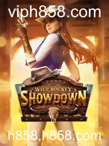 Explorando o Universo de WildBountyShowdown